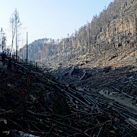 Am Weg zum Prebischtor im Herbst 2022 (© EEL/Kubsch)