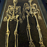 Oblastní muzeum v Děčíně (© Oblastní muzeum v Děčíně)