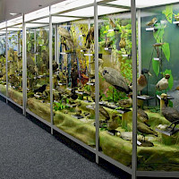 Oblastní muzeum v Děčíně (© Oblastní muzeum v Děčíně)