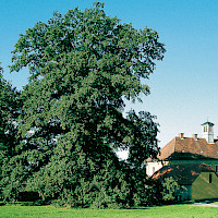 Richard-Wagner-Stätten Graupa (© Kultur- und Tourismusgesellschaft Pirna mbH)