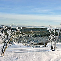 View from the Kahleberg in winter time (source: www.altenberg.de)