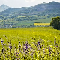 Milešovka