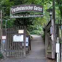 Forstbotanischer Garten Tharandt (© Kubsch/EEL)