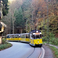 Kirnitzschtalbahn u skály Fischkopffelsen (© Till Menzer)