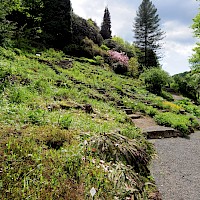 Botanischer Garten Bad Schandau (© Lysippos; Wikipedia; CC BY-SA 3.0)