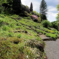 Botanical garden Bad Schandau (© Lysippos; Wikipedia; CC BY-SA 3.0)
