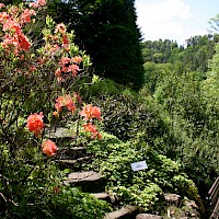 Botanischer Garten Bad Schandau (© Sächsische Landesstiftung Natur und Umwelt)