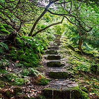 Botanischer Garten Bad Schandau (© Wanda Schade, museen.de)