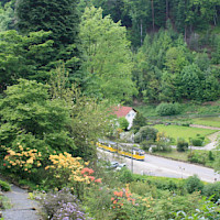 Botanischer Garten Bad Schandau (© www.bad-schandau.de)