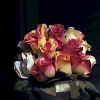 Ein Strauß 'falscher' Blumen (© lobo235; Wikipedia; CC BY-SA 3.0)