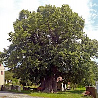 Ansicht von Norden (© Rainer Lippert; Wikipedia; CC BY-SA 3.0)