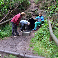 Fuchsbau, Waldhusche Hinterhermsdorf (© Nationalparkverwaltung Sächsische Schweiz)