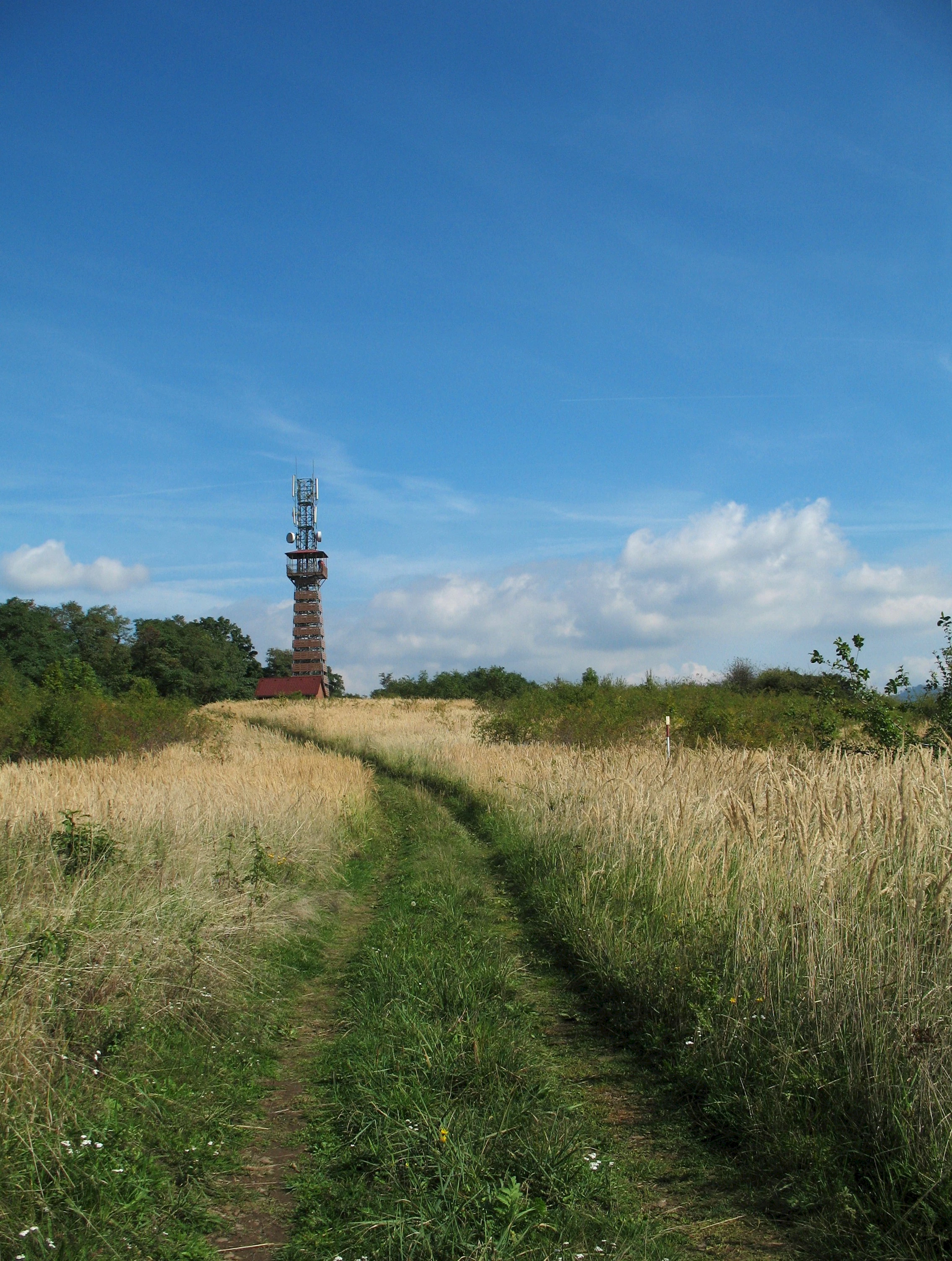 Lookout tower Radejčín (© Marie Čcheidzeová; Wikipedia; CC BY-SA 4.0)