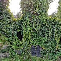 Grabstein Gaudernack, Franz Josef (© Sebastian Weise/EEL)
