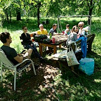 Urban Gardening bez hranic