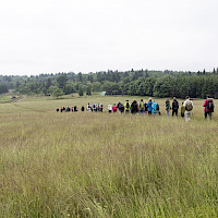 Wanderung von Vorderzinnwald zum Mückentürmchen (© Peter R. Fischer)