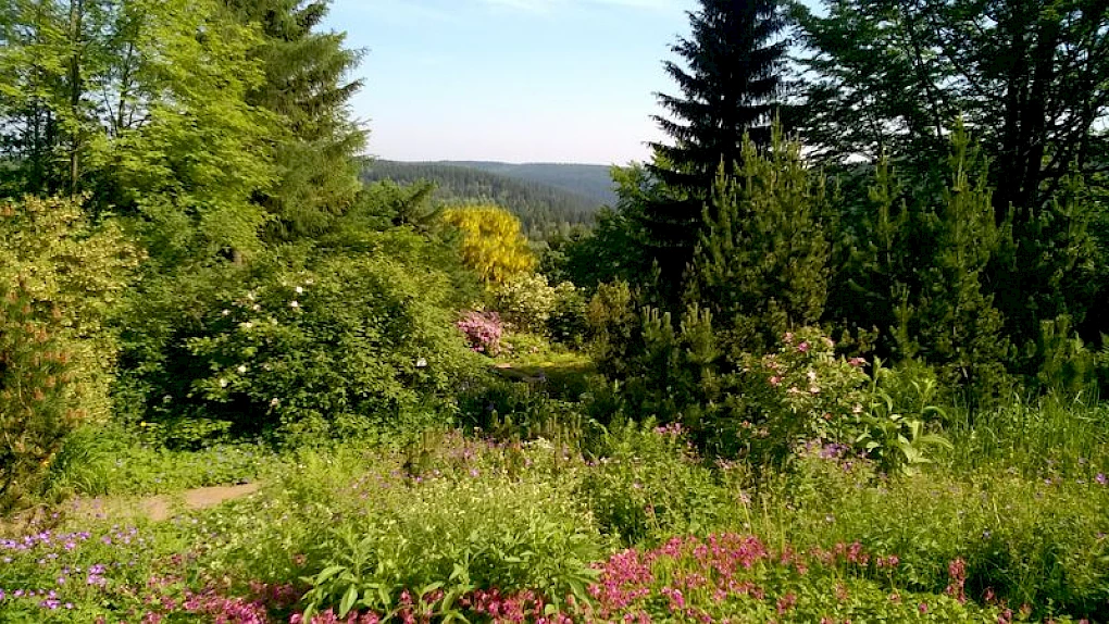 Botanická zahrada Schellerhau (© Naturbewahrung Osterzgebirge gGmbH)