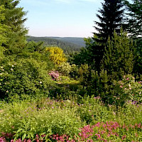 Botanical Garden Schellerhau (© Naturbewahrung Osterzgebirge gGmbH)