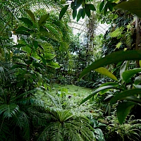 Botanical Garden Teplice (© Botanicka; Wikipedia; CC BY-SA 4.0)