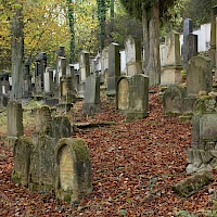 Starý židovský hřbitov v Úštěku (© Kachna kh; Wikipedia; CC BY-SA 4.0)