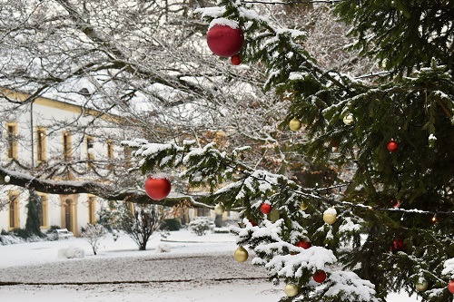 Christmas at Děč&iacute;n Castle