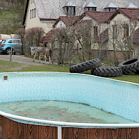 Třebušín (© Euroregion Elbe/Labe)