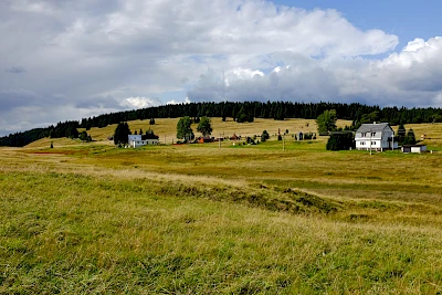 Jelení v Krušných horách, 2017