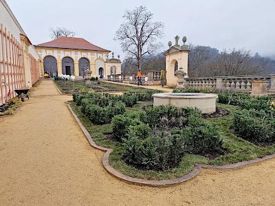 Blick in den sanierten Rosengarten