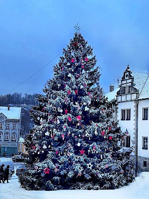 Der Weihnachtsbaum in Bene&scaron;ov nad Ploučnic&iacute;