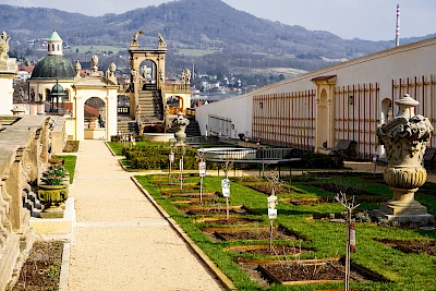 Rosengarten auf Schloss Děč&iacute;n