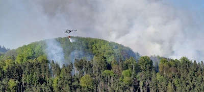 L&ouml;scharbeiten in der B&ouml;hmischen Schweiz am 2.5.26