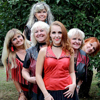Die Band Schovany